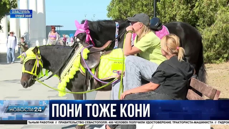 �������� ��������� ���������� � ������� �� ������ �������� � ��������� ������ � �������?