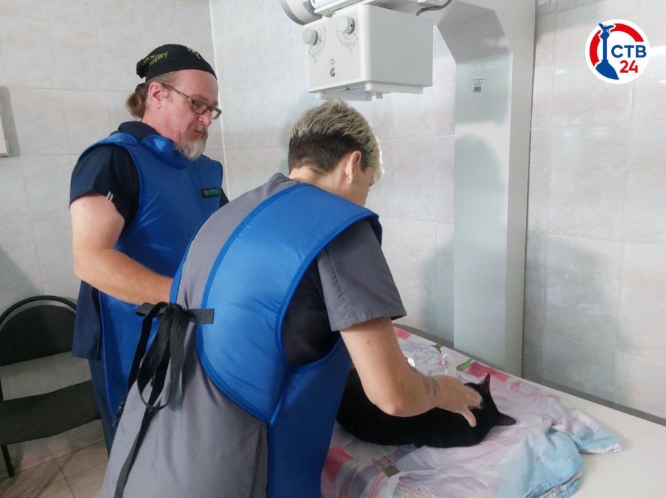 � ��������������� ������������� �������� ����� ���������� ��������� �����������