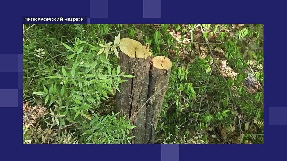 Предлагаем вашему вниманию очередной выпуск еженедельной программы "Прокурорский надзор" на телеканале "Независимое телевидение Севастополя"