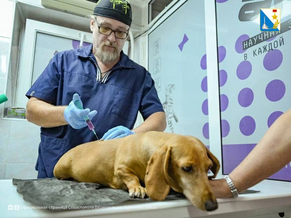 Заботимся о братьях наших меньших