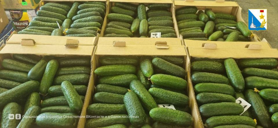 ������������ ��������. � ������ ���� ��������� �������� ������������ � ������� �������� ������� ������ ��� ����� 440 ���� �������