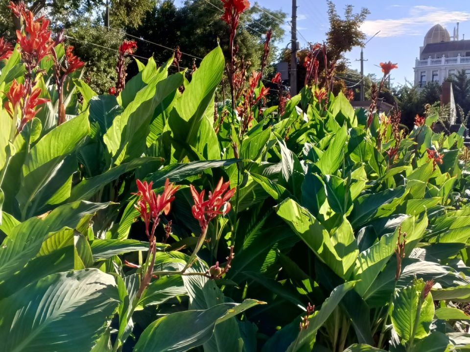 ������� ������ � ����� �� 23 ��������