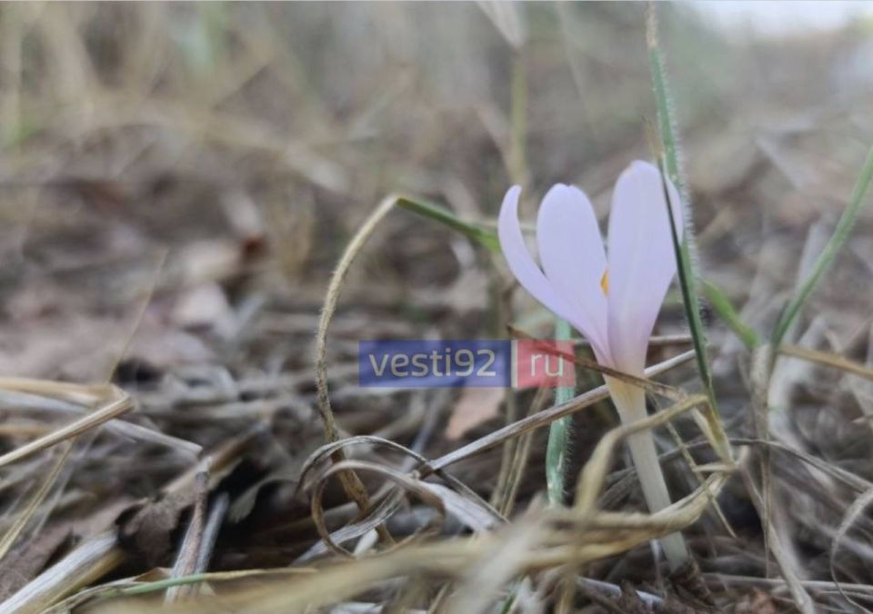 Доброе утро, Севастополь!. Весь день будет солнечно