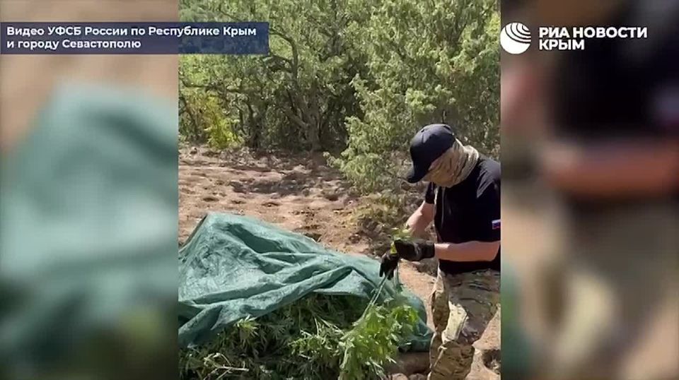 ��������� ������� ��� ������� ���� "����������"