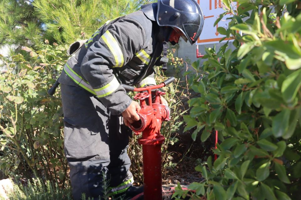 ���������� ���������� ��� ������������������ � ���: ��������� �������� ��� ���������� ��������� �������� �� �������� ����������