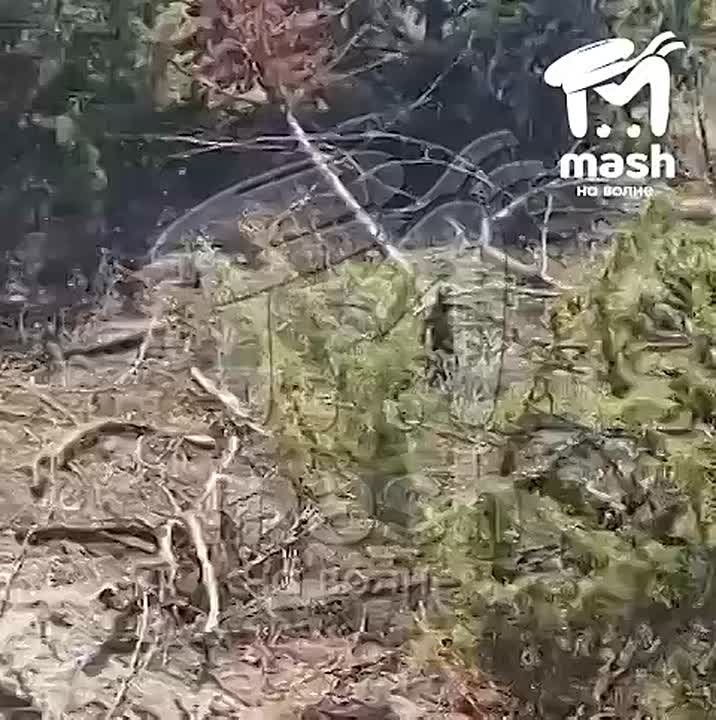 ���-�� �������� ������������� ������� ��� ������������