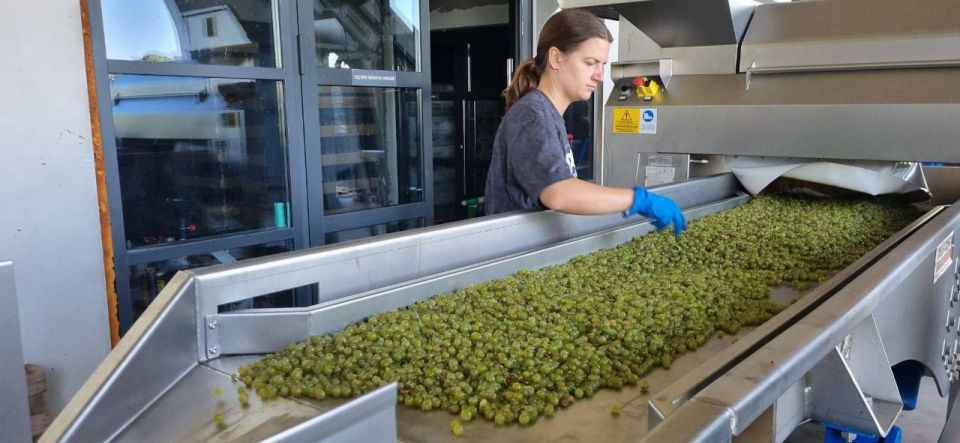 ������ ������� ����������� ��������������� ����������� ������� �������������� ������� �� 250 ����� ������