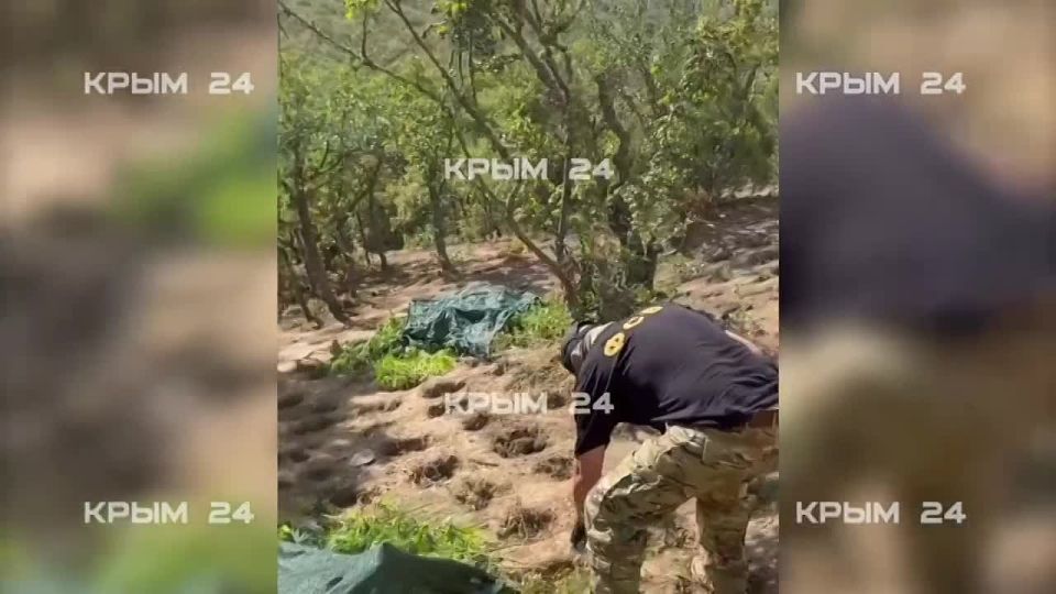 ������ ������ ������� �� 11 ��� �� ������� ����� ����������