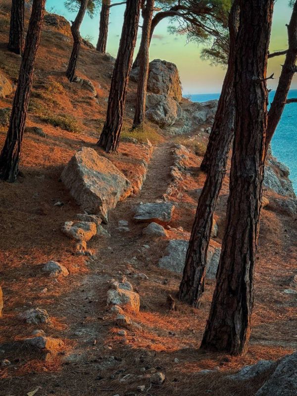 ������ ������������ ����� � ���� ��� � ���������