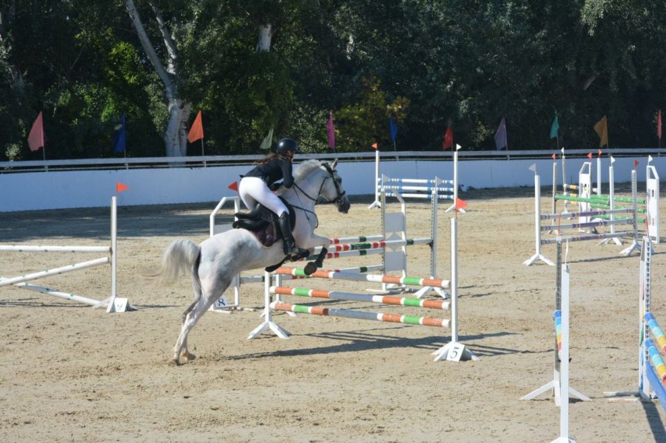 � ����������� ������� ������ ������������ ���������� � ���������� ������ �� ������� ������