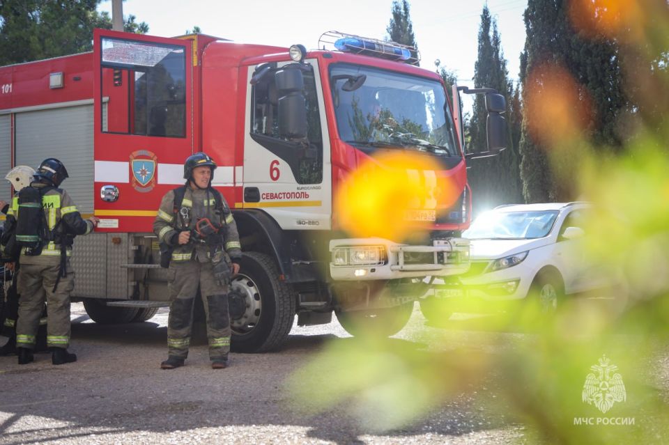 ����� � ����������� ������������� ������ ��������������� ��������� ��� ������