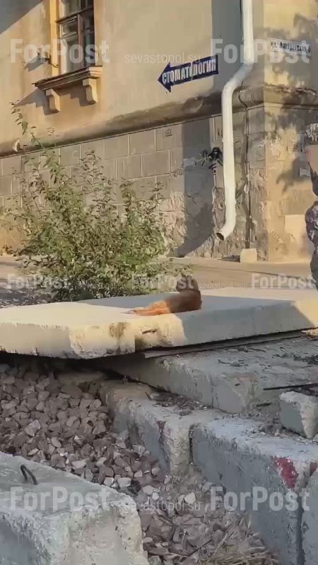 «Водопроводный провал» у перекрёстка улиц Лазаревская и Будищевам придется терпеть еще несколько лет