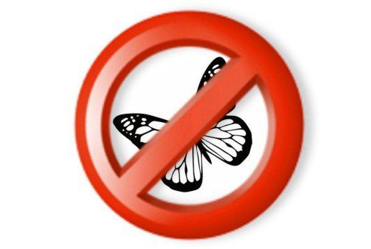 � ���� �� 23 � 24 �������� (� 22:00 �� 06:00) � ����������� ����� ������������ ������� � ���������� �� ����������� ����������