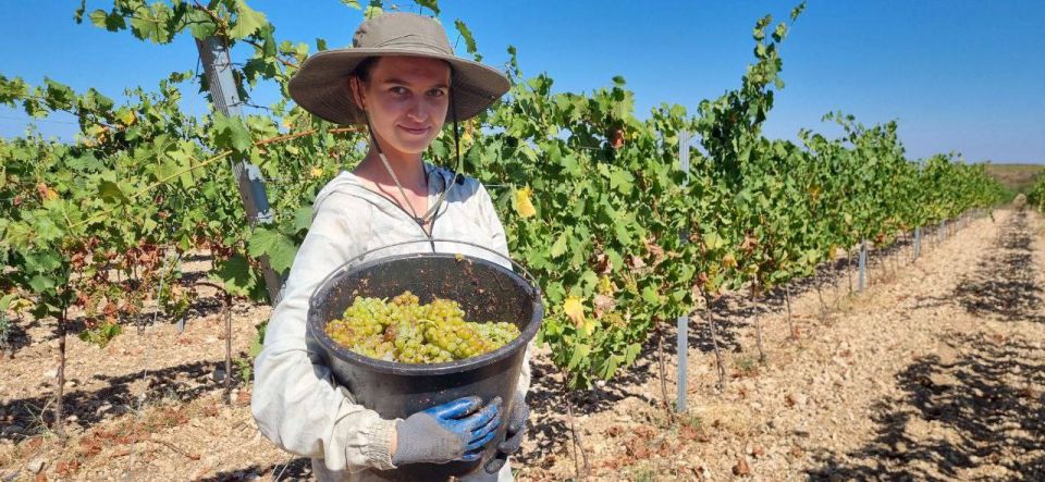 Михаил Развожаев: Поддерживаем молодых специалистов севастопольских агропредприятий Михаил Развожаев: Поддерживаем молодых специалистов севастопольских агропредприятий