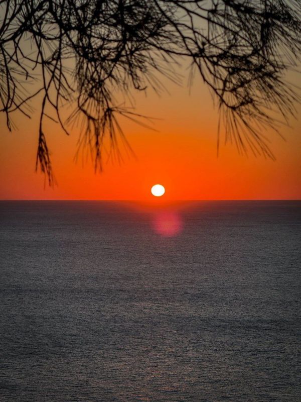 ������ ������������ ����� � ���� ��� � ���������