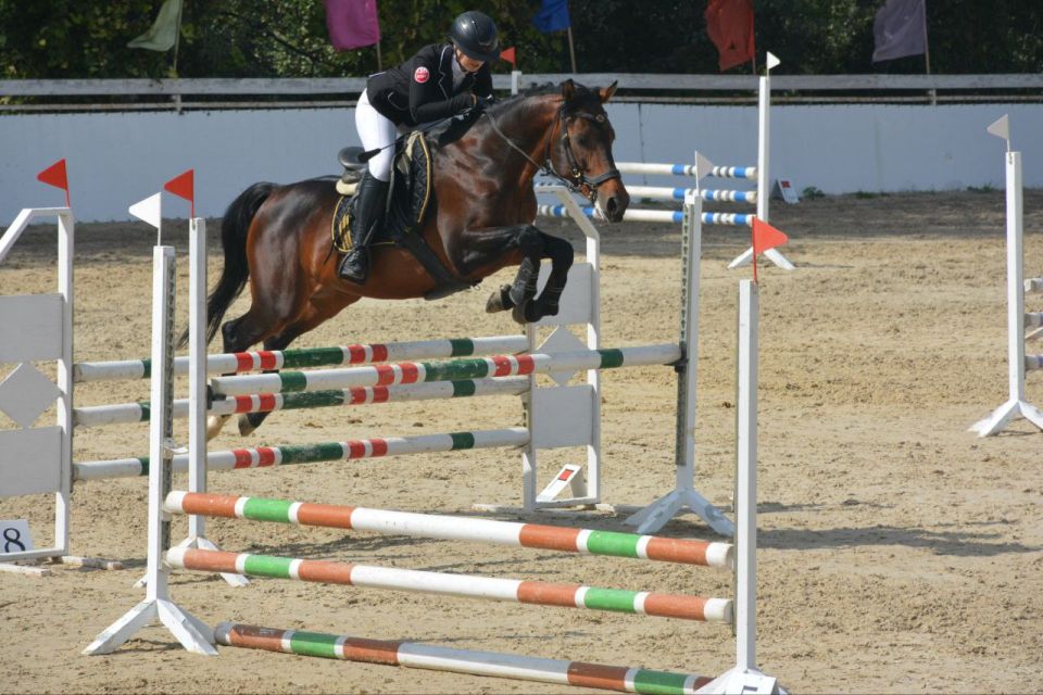 � ����������� ������� ������ ������������ ���������� � ���������� ������ �� ������� ������