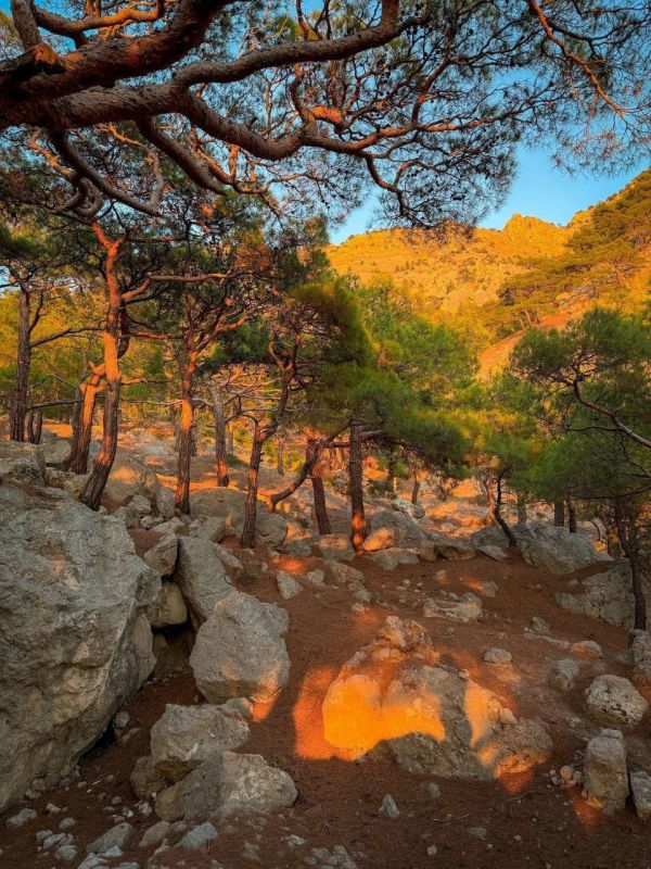 ������ ������������ ����� � ���� ��� � ���������