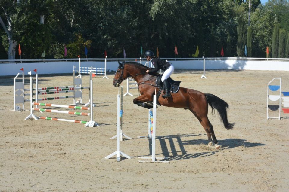 � ����������� ������� ������ ������������ ���������� � ���������� ������ �� ������� ������