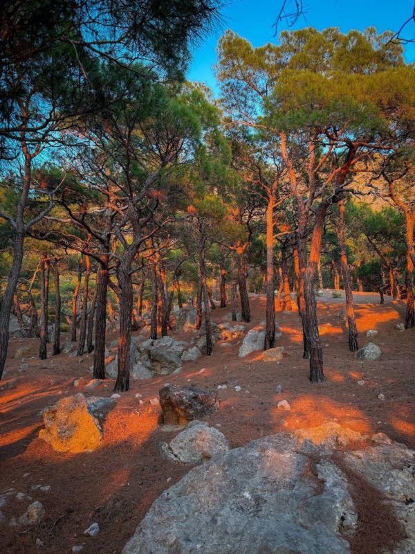 ������ ������������ ����� � ���� ��� � ���������