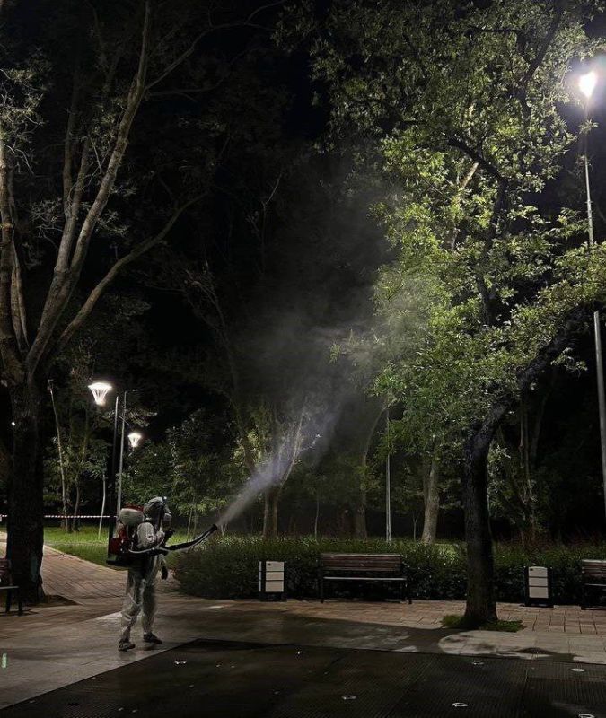 23 и 24 сентября 2025 года с 22:00 до 6:00 горслужбы обработают зеленые насаждения от карантинных вредителей по следующим адресам: