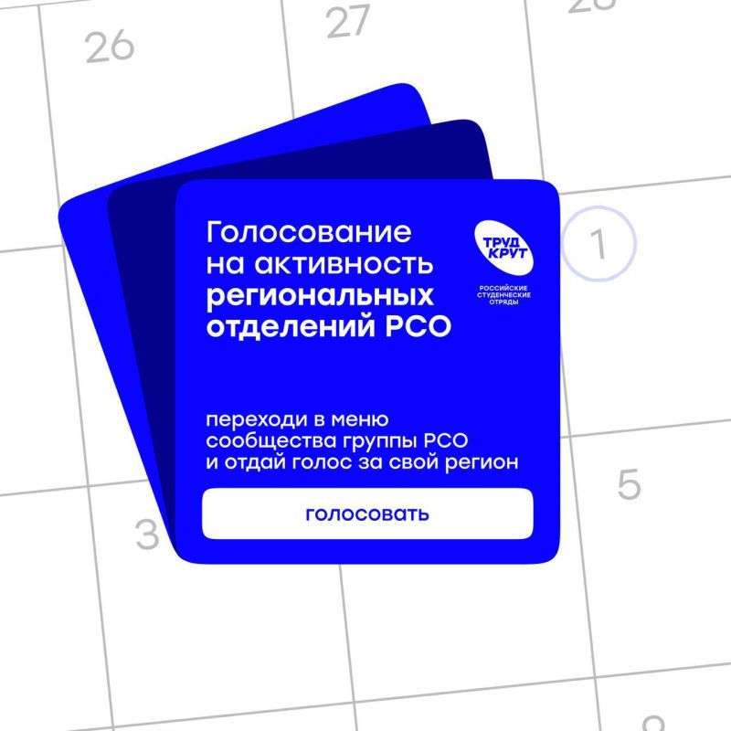 Денис Кондратьев: Студенческим отрядам Севастополя нужна поддержка жителей города