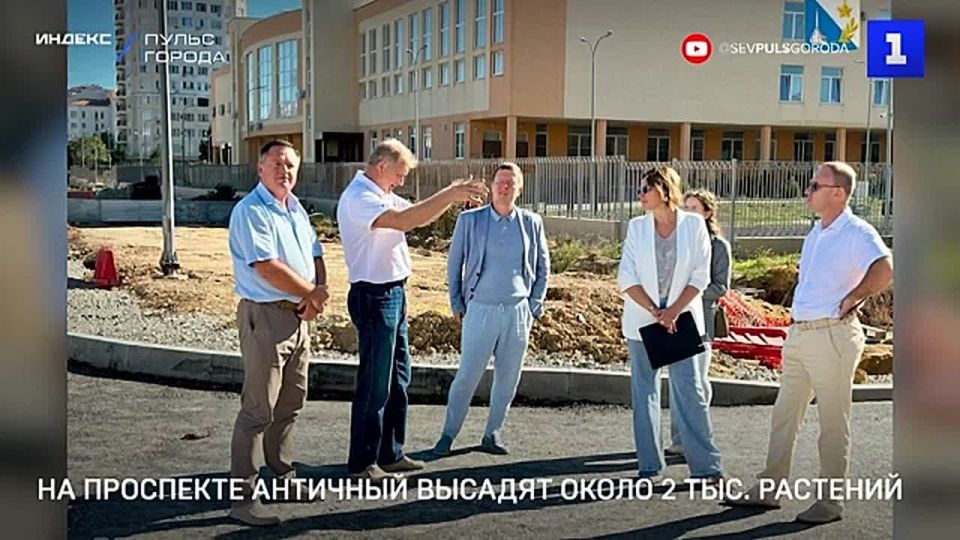 Вдоль дороги на проспекте Античный высадят около 2 тыс