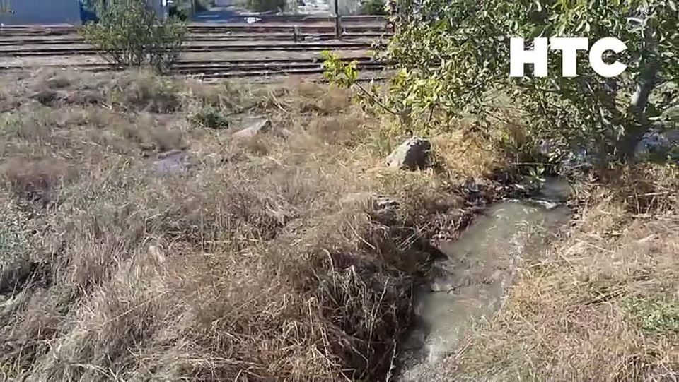 #���_�����. �� ������ ���������� �����, 53, ������ ���� �� �������� ����������� ������ ��������. ������� � ����, ��� �� ���������, ����� �� ���������