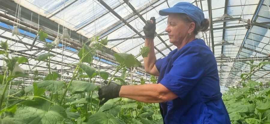 � ������ ���� � �������� ������� ������� ����� 440 ���� �������