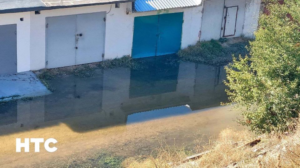 #���_�����. �� ������ ���������� �����, 53, ������ ���� �� �������� ����������� ������ ��������. ������� � ����, ��� �� ���������, ����� �� ���������