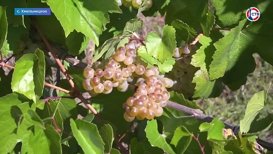 � ����������� �������� �������� ������ ���������