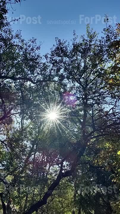 Теплый осенний полдень в Севастополе