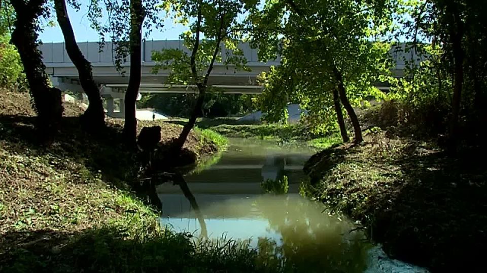 ���������� ��������� �� ��������� ���� ׸���� � � �������� ��������� � �����������