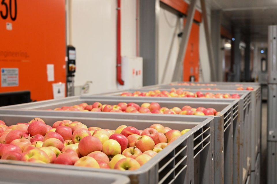  :         ,         2021 ,  :  1   ...