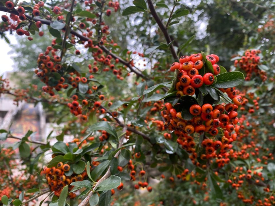 ������� ������ � ����� �� 24 ��������