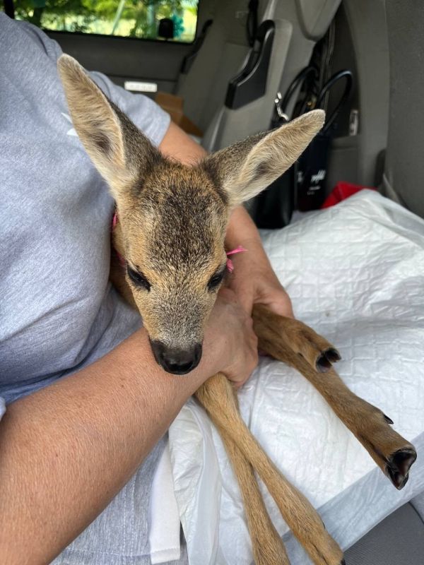 ��������� ������ ������� �������� ����� ����� ��� � �����������