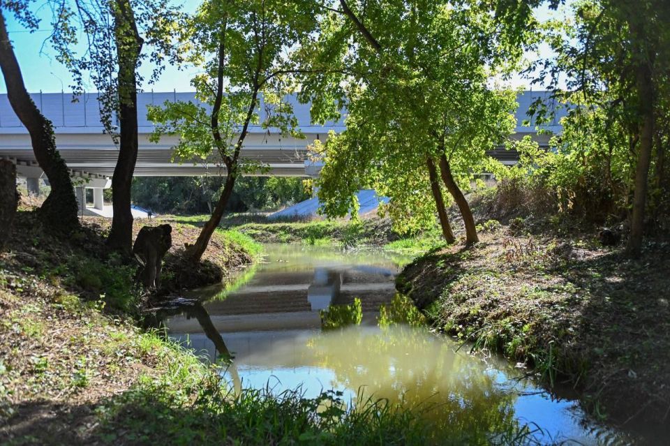 ������������� ��������� ���� ׸���� � � �������� ��������� 5,6 ����������