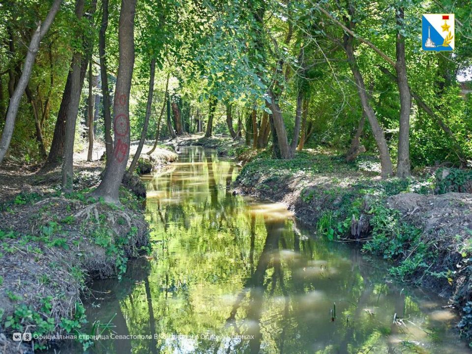 ��������� ���������� ��������� ���� ׸���� � � �������� � �������� � ����� �����