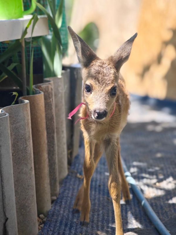 ��������� ������ ������� �������� ����� ����� ��� � �����������