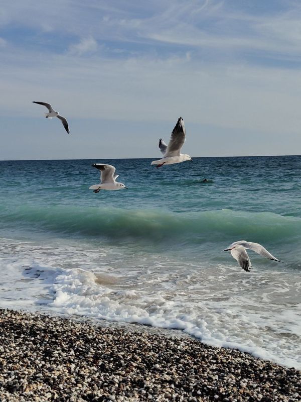 � ������ �����, ������!. � ����������� �����������