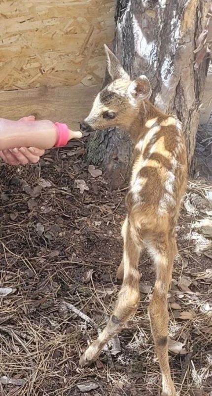 ��������� ������ ������� �������� ����� ����� ��� � �����������