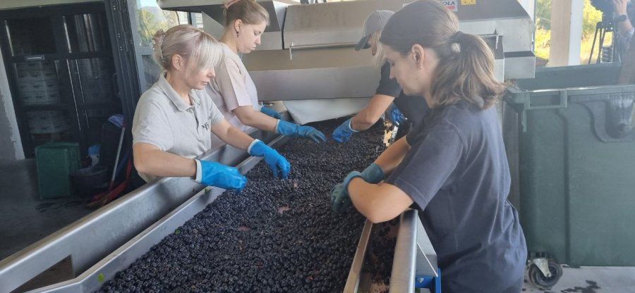 � ����������� ������� ����� 12,5 ����� ���� ���������