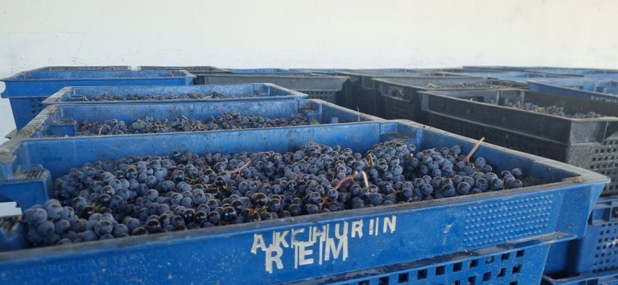 � ����������� ������� ����� 12,5 ����� ���� ���������