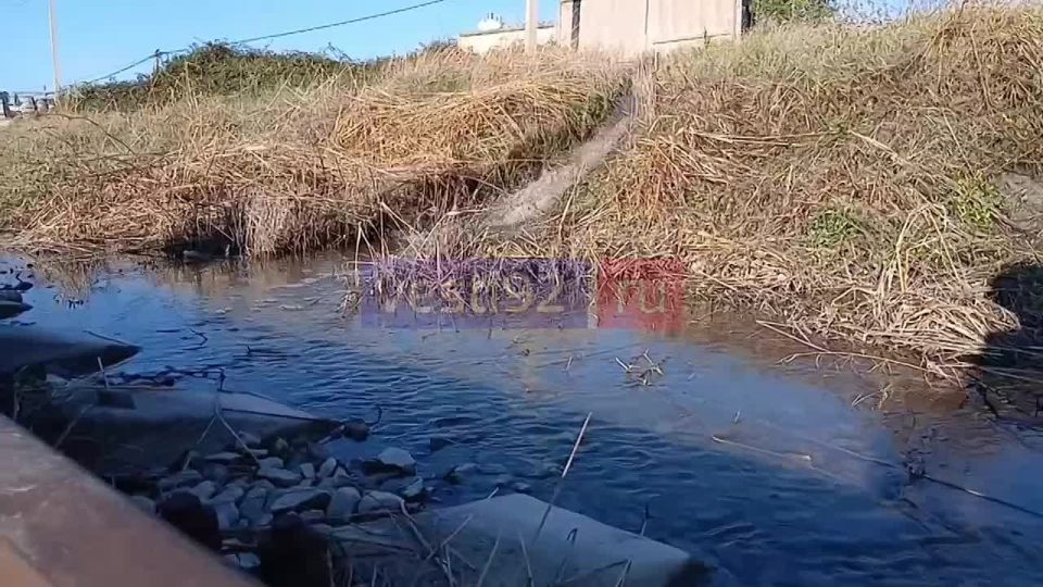 Разлив канализации в районе Камышовой бухты