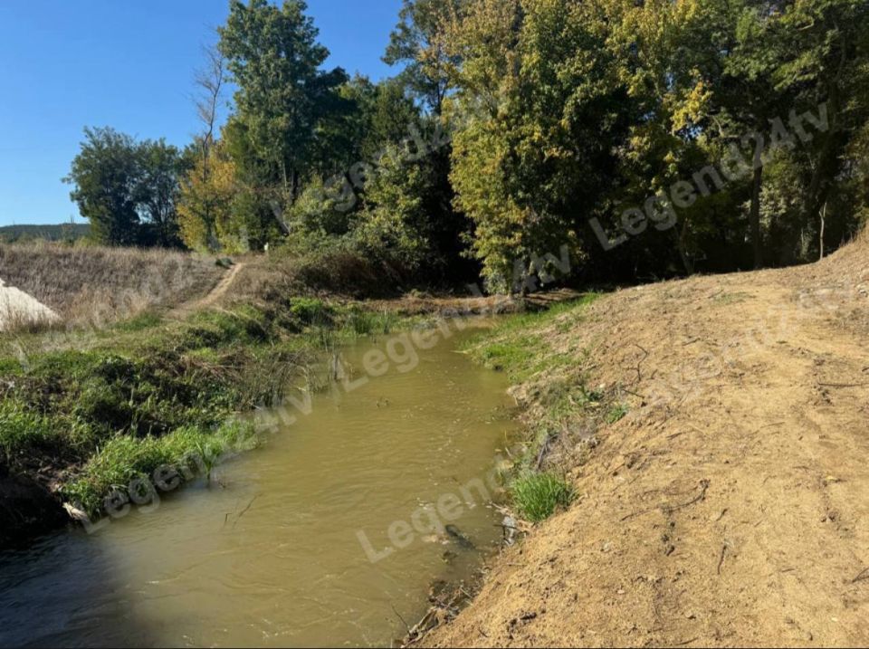 �������� ��������� ���� ������ �� �������