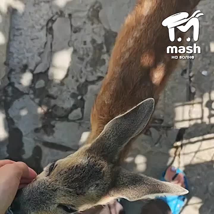 �������� �� ���������� ������� ������ ���� ����� � ������ ������ ���������� � �����������