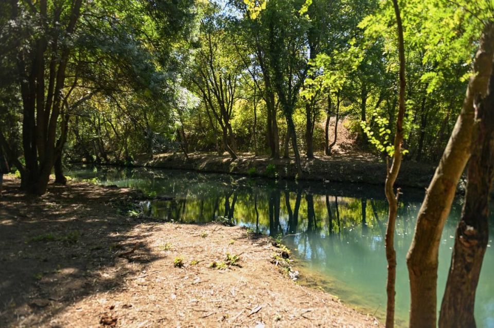 ������������� ��������� ���� ׸���� � � �������� ��������� 5,6 ����������