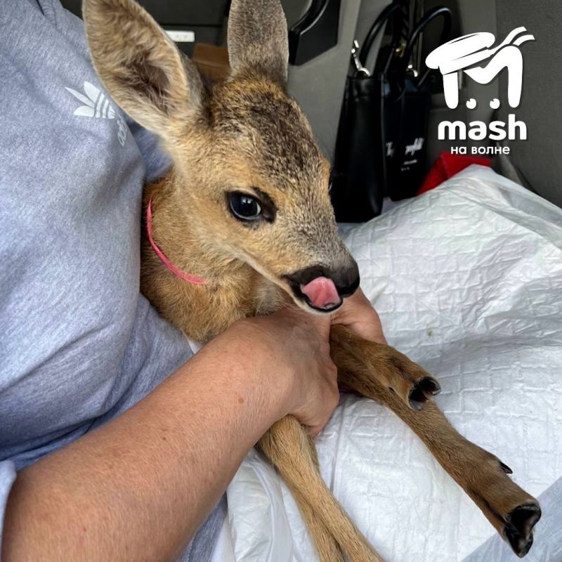 �������� �� ���������� ������� ������ ���� ����� � ������ ������ ���������� � �����������