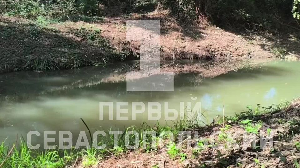 ��������� ��������� ����� ���� ׸���� � ���� � ��������