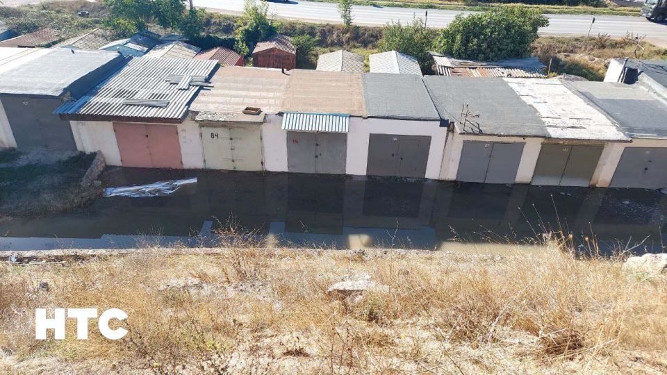 #���_�����. �� ������ ���������� �����, 53, ������ ���� �� �������� ����������� ������ ��������. ������� � ����, ��� �� ���������, ����� �� ���������