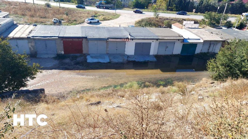 #���_�����. �� ������ ���������� �����, 53, ������ ���� �� �������� ����������� ������ ��������. ������� � ����, ��� �� ���������, ����� �� ���������